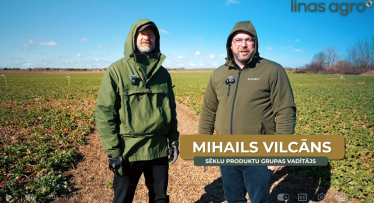 Kāda ir nozīme ziemas rapša kodnēm?